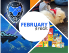 Feb Break 2025