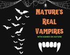 Natures Real Vampires 1080 x 827 px Heather Waddell