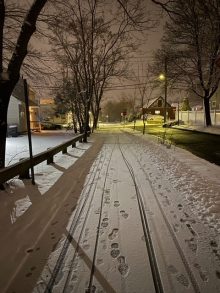 Photograph of a snowy neighborhood sidewalk with food prints in the snow.